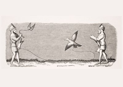 How to train a new falcon, reproduction of a miniature in the 14th century manuscript 